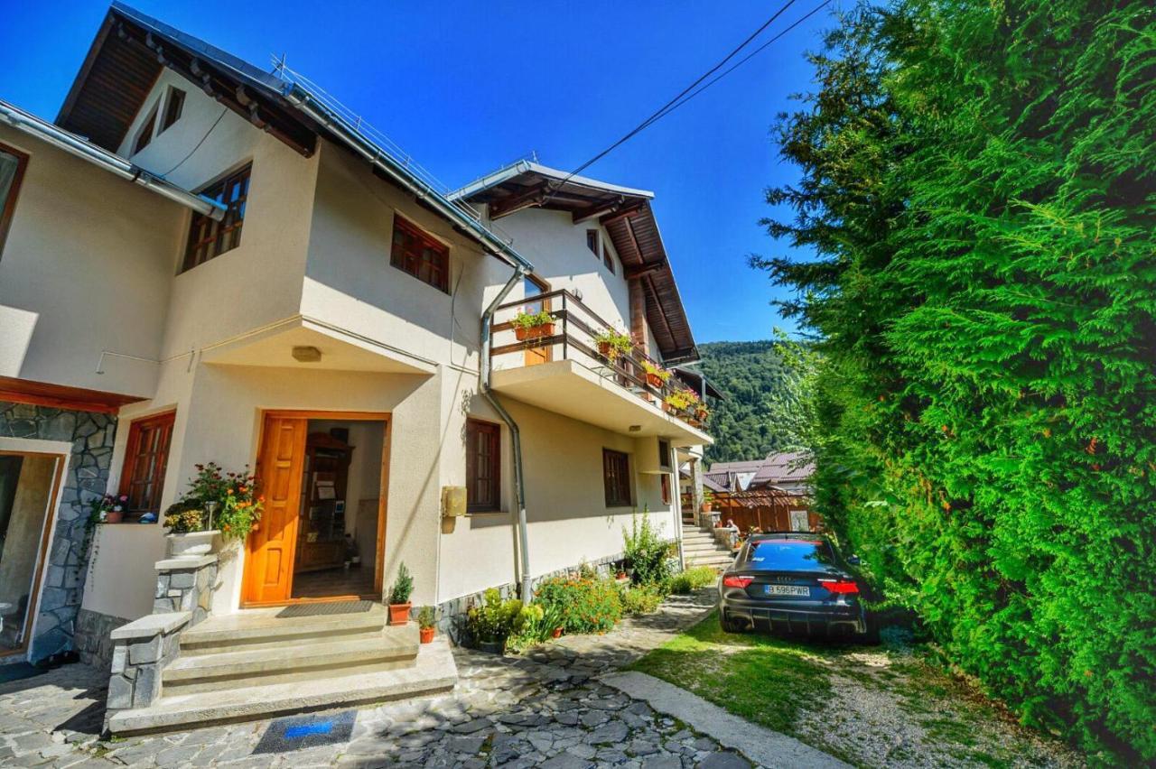 Amandra Chalet Sinaia Bagian luar foto