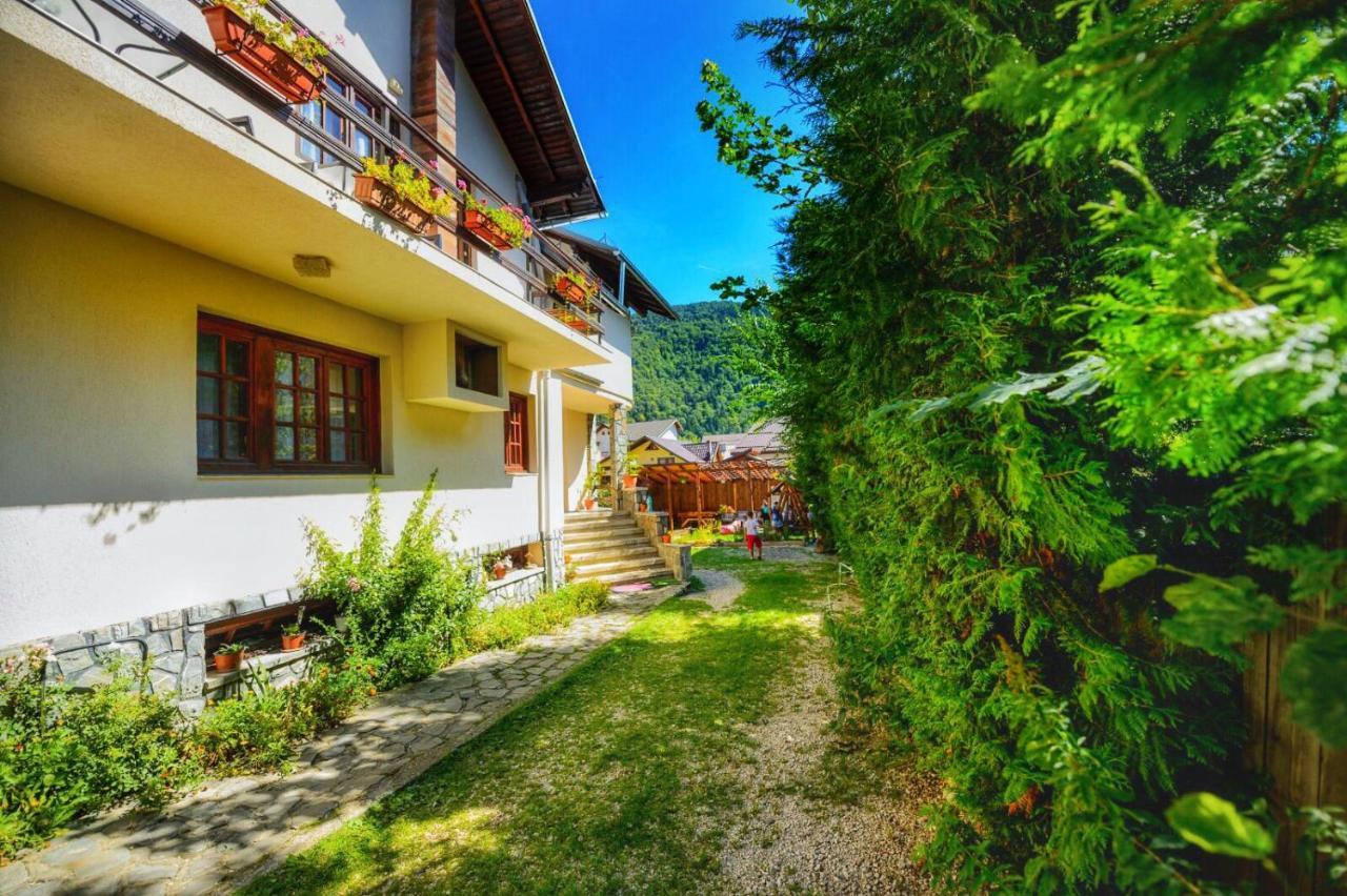Amandra Chalet Sinaia Bagian luar foto