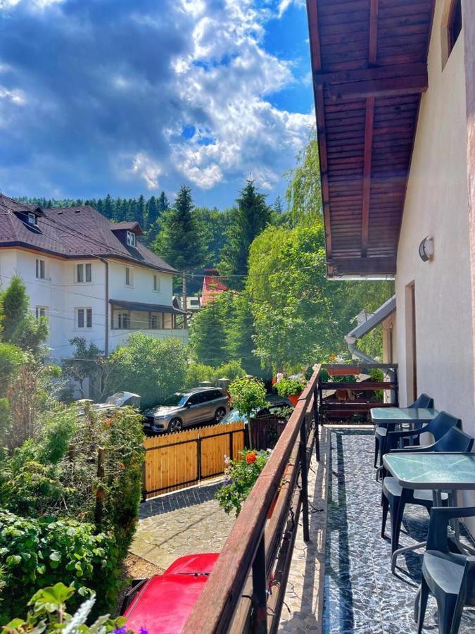 Amandra Chalet Sinaia Bagian luar foto