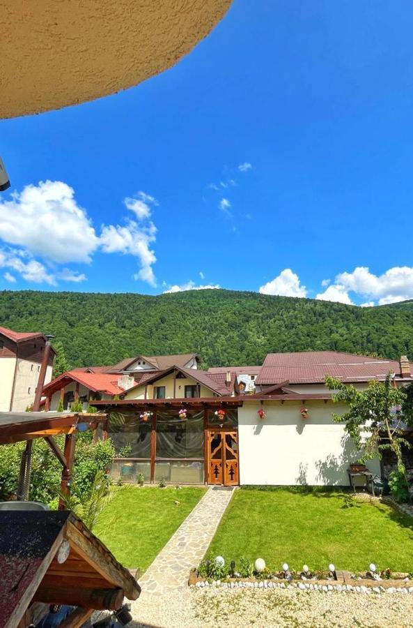 Amandra Chalet Sinaia Bagian luar foto
