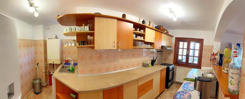 Amandra Chalet Sinaia Bagian luar foto