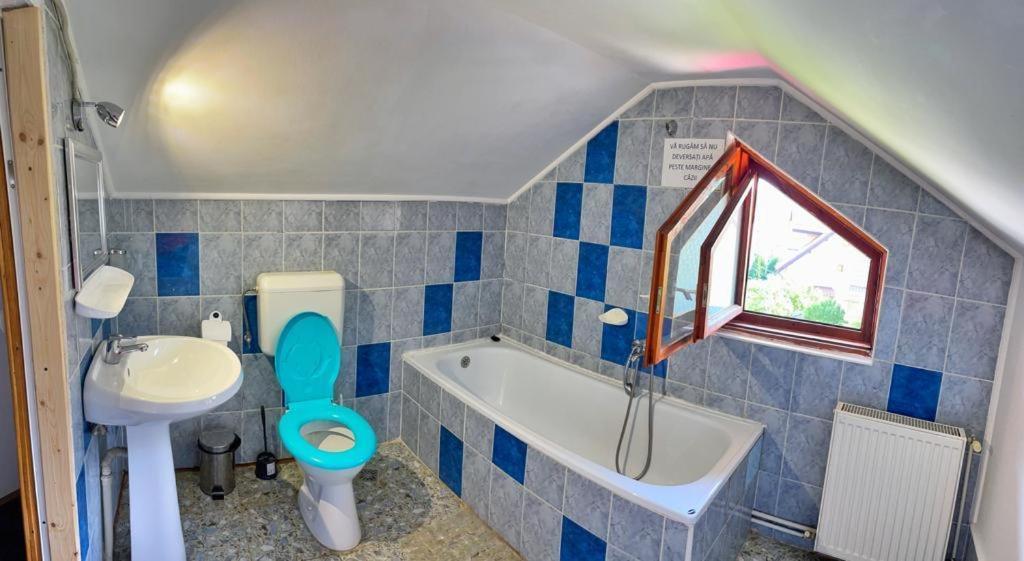 Amandra Chalet Sinaia Bagian luar foto