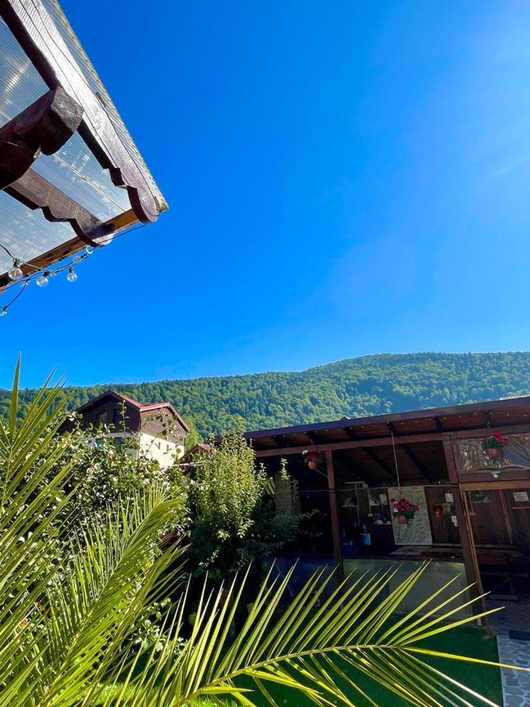 Amandra Chalet Sinaia Bagian luar foto