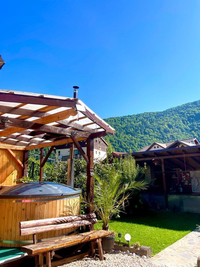 Amandra Chalet Sinaia Bagian luar foto